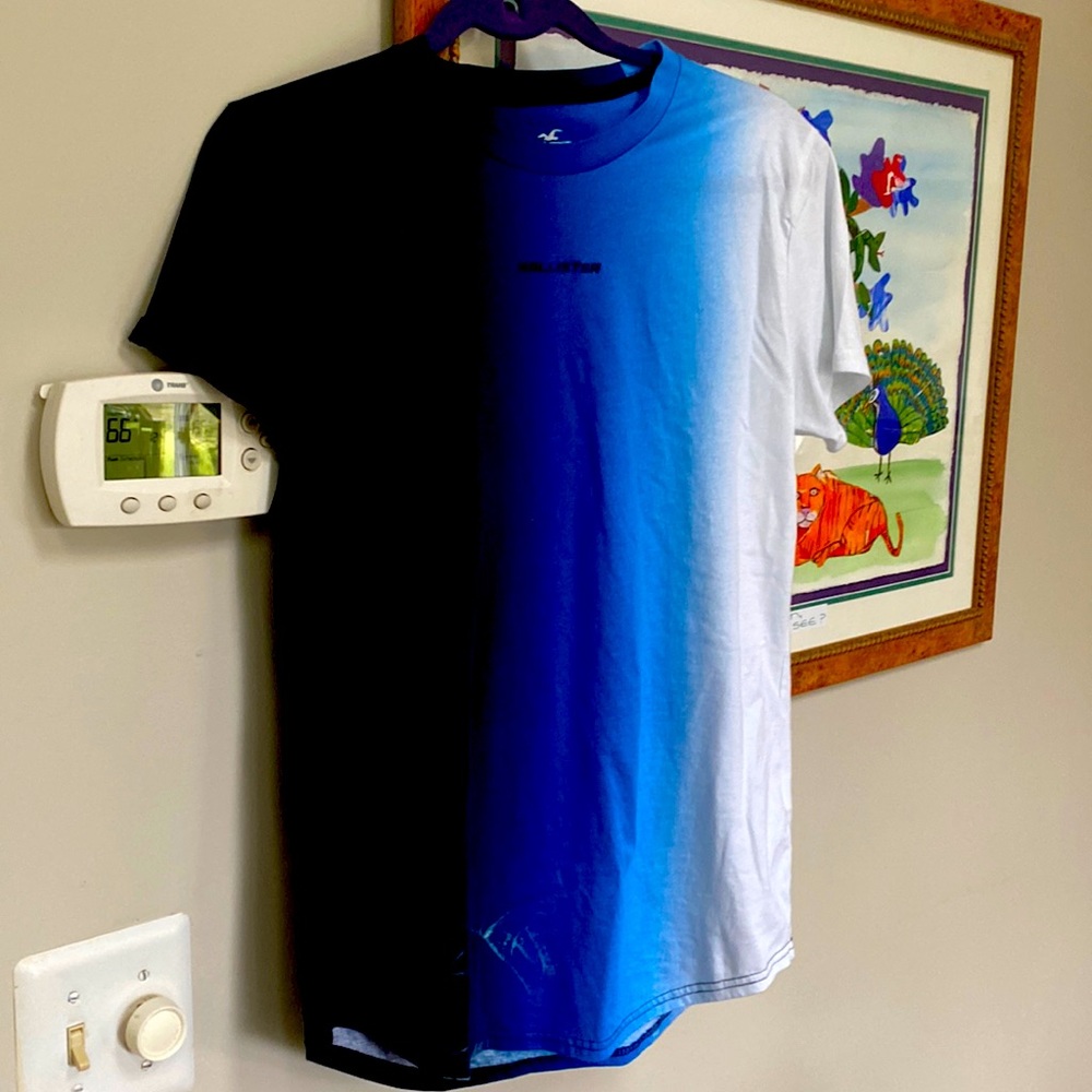 Hollister T shirt